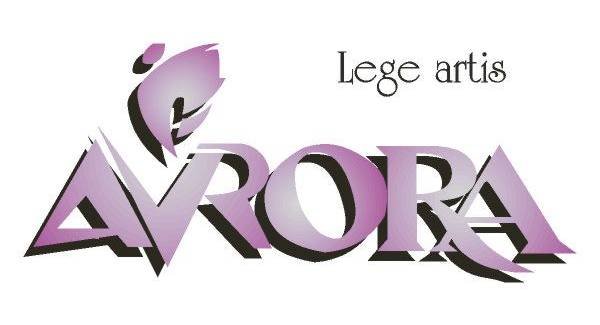 Северное сияние логотип vector