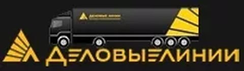 Брендбук Деловые линии