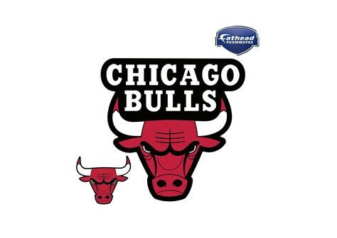 Chicago bulls вектор