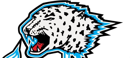 Барыс хоккейный клуб эмблема