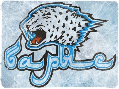 Барыс Нефтехимик логотип