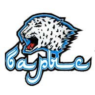 Хк Барыс печать