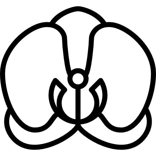 Орхидея иконка