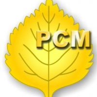 Российский Союз молодежи рамка