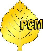 РСМ Ставропольский край логотип