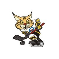 Северсталь эмблема хоккейной команды