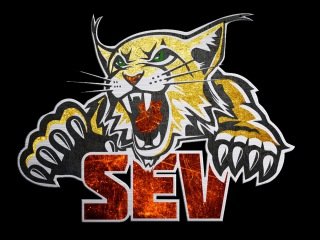 Логотип Северсталь Череповец хоккей