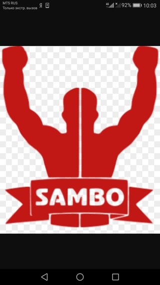 Боевое самбо эмблема
