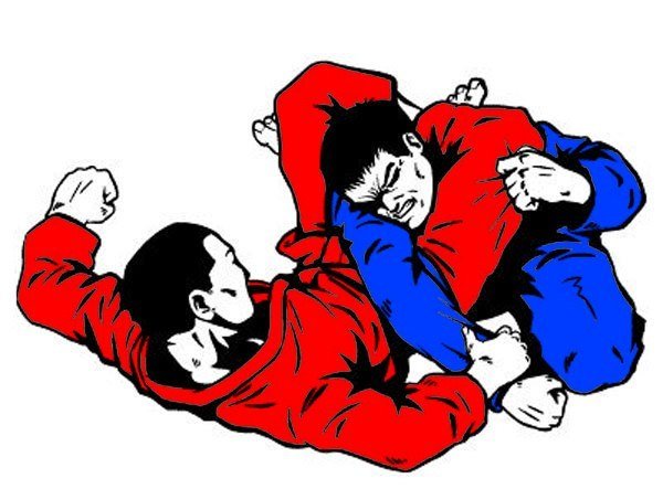 Изображение самбо