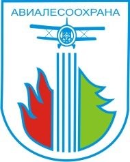 Шеврон Авиалесоохрана