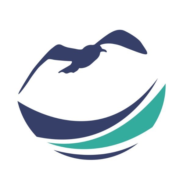 Буревестник логотип