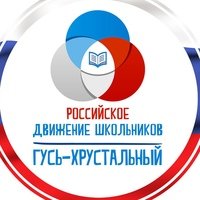 РДШ направления деятельности в школе