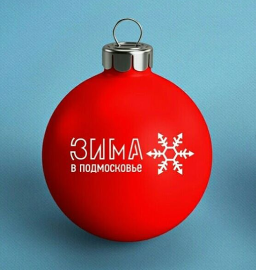 Зима в Подмосковье лого