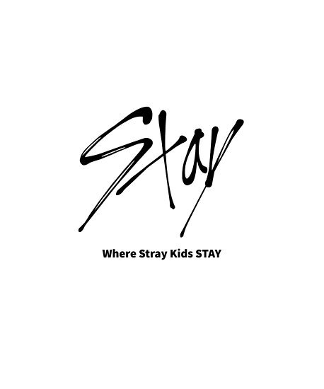 Stray Kids знак фандома