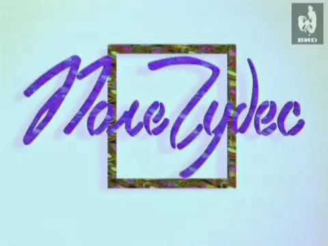 Игрушка поле чудес