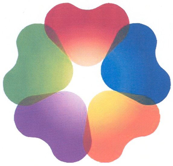 Ригла логотип без фона