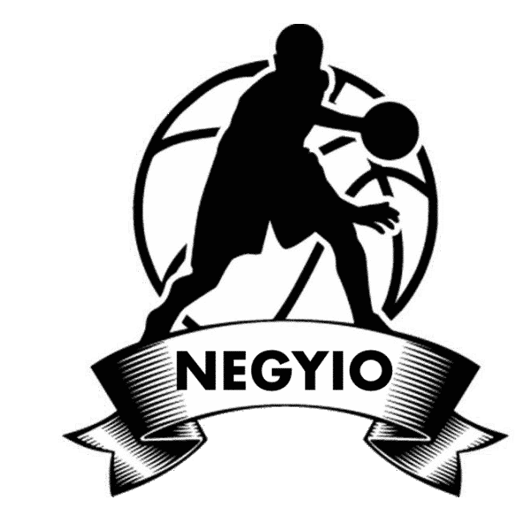 Логотипы баскетбольных команд (45 фото)