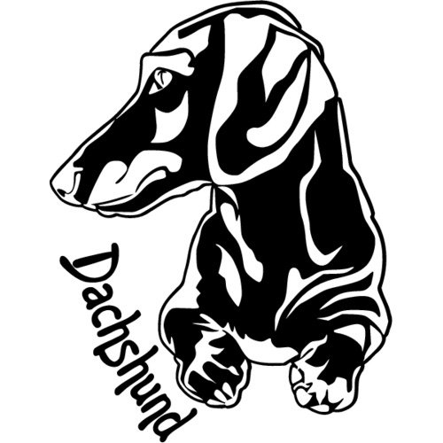 Псина логотип