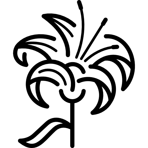 Лилия вектор