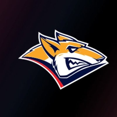 Логотип хк Металлург Магнитогорск