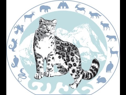 Снежный Барс символ Кыргызстана