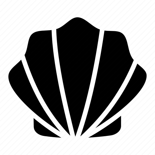 Ракушка вектор контур