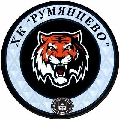 Логотип команды медведь