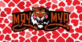 Амур хоккейный клуб эмблема