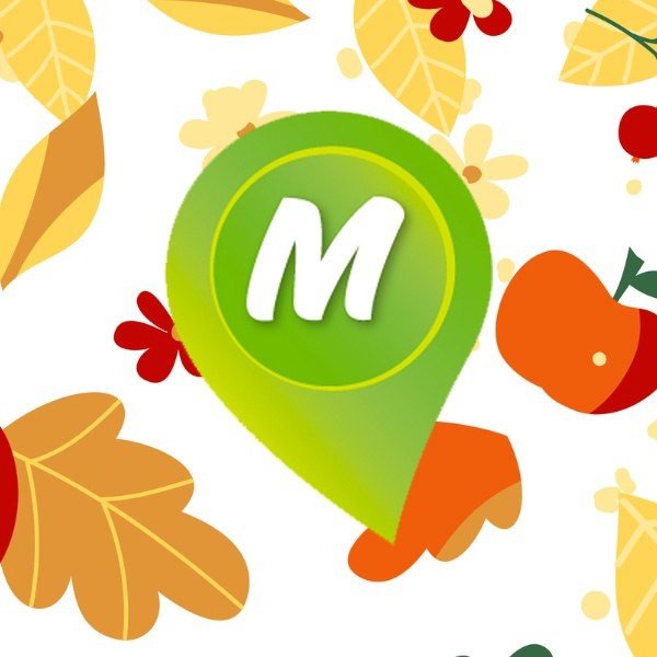 Монетка торговая сеть логотип