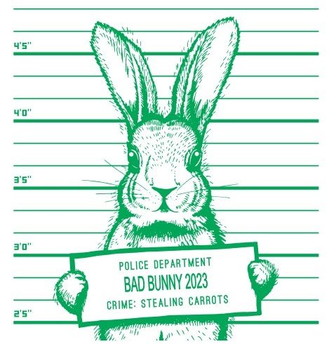 Плакат на новый год кролика (45 фото)