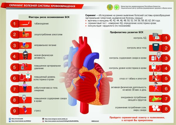 Профилактика сердечно-сосудистых заболеваний