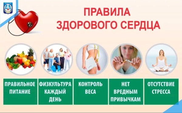 Профилактика заболеваний сердца