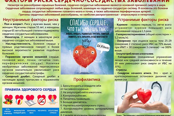 Плакат на тему профилактика сердечно сосудистых заболеваний (48 фото)