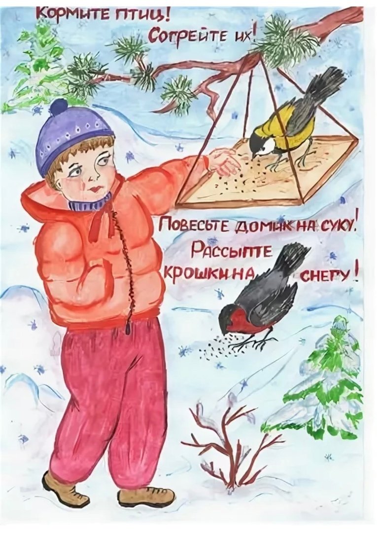 Плакаты в защиту зимующих птиц
