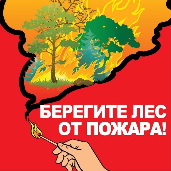 Плакат на тему Защитим лес