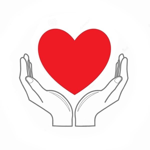 Руки держат сердце