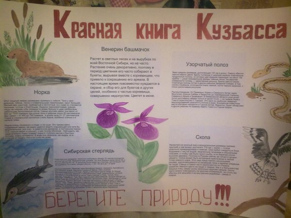 Плакат красная книга