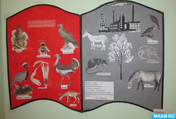 Красная книга рисунок