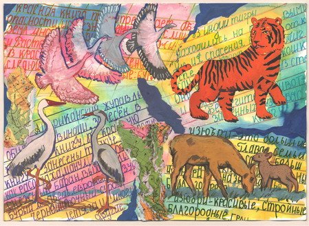 Плакат на тему красная книга россии (50 фото)