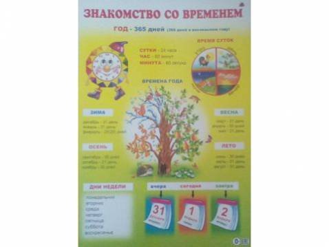 Плакат (картон)50х70 см.птицы