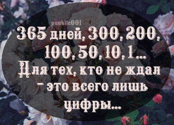 365 Дней армия