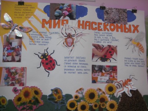 Плакат насекомые для детского сада
