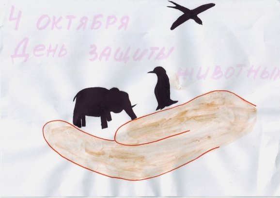 Конкурс рисунков бездомные животные