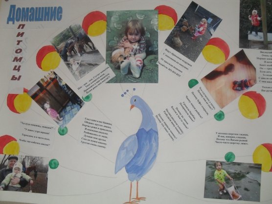 Стенгазета о домашних питомцах
