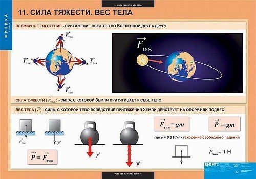 Сила притяжения физика 7 класс