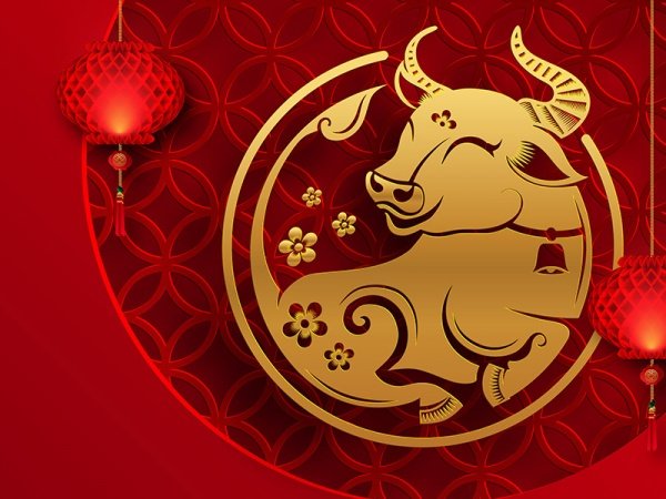 Новый год быка