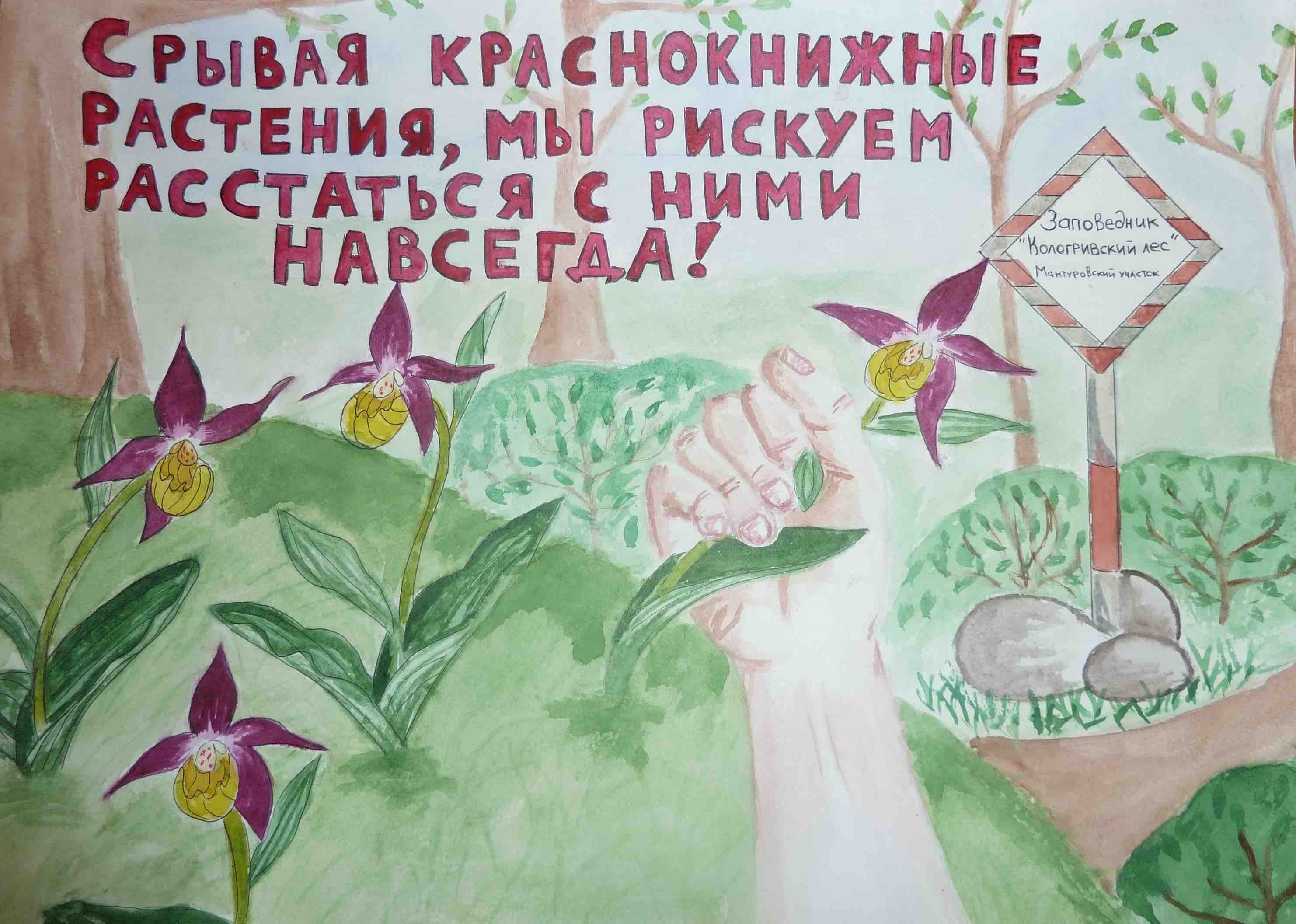 Плакат о защите редких растений