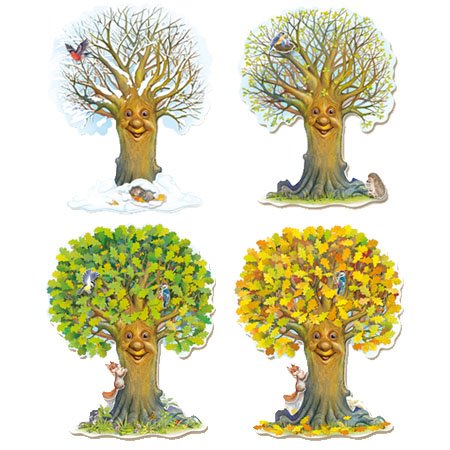 Дерево в разные времена года