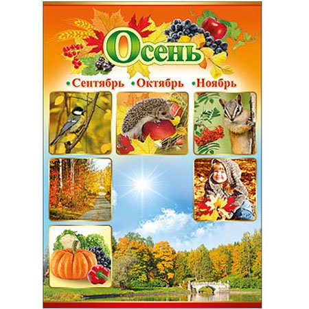 Осень обучающие плакаты для детского сада