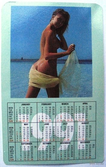 Выборы 1993 года в России листовки